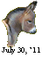 The Great American Miniature Donkey Sale
